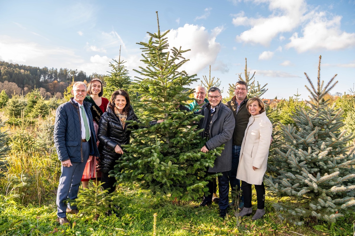 Eröffnung der bayerischen Christbaumsaison