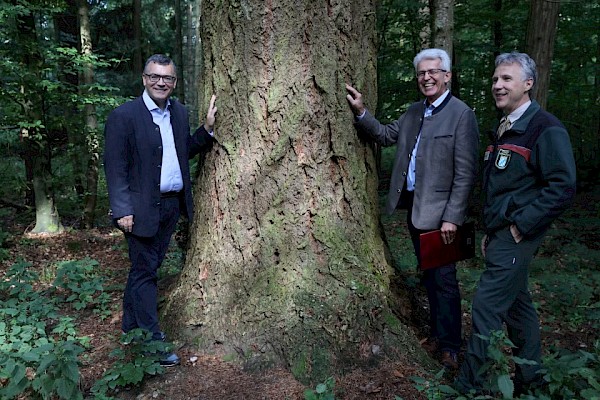 Besuch der Waldklimastation und des Kranzberger Forsts