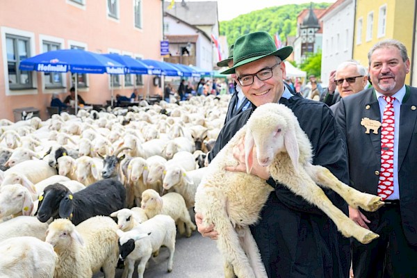 Altmühltaler Lammauftrieb 2025 Altmühltaler Lammauftrieb 2025